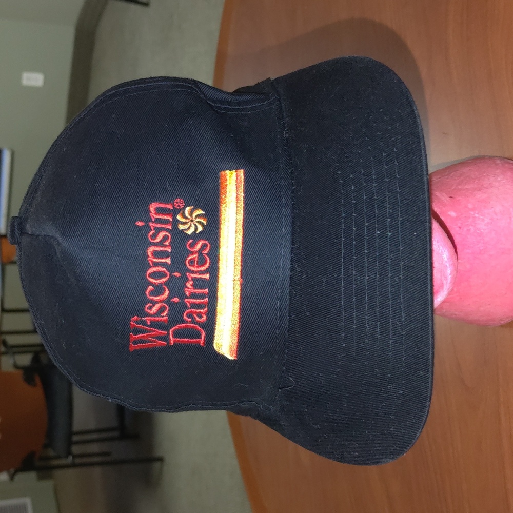 Vtg Wisconsin Dairies Embroidered Logo Snapback Hat Cap OSFA